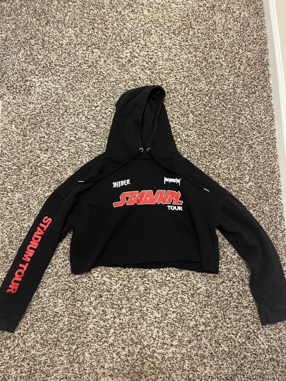 H&M Black Justin Bieber Graphic Cropped Hoodie